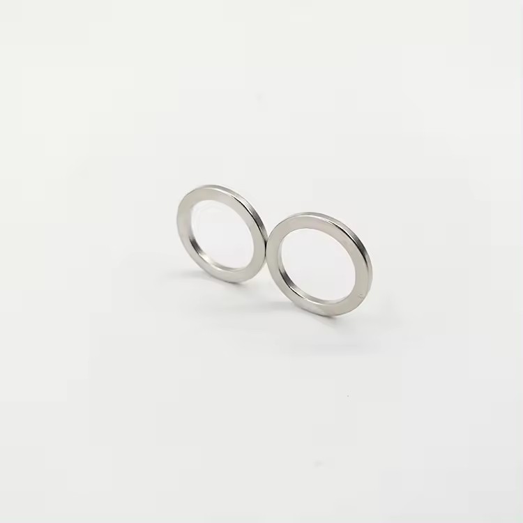 Strong permanent magnet super magnetism power Rare Earth Ring Magnets